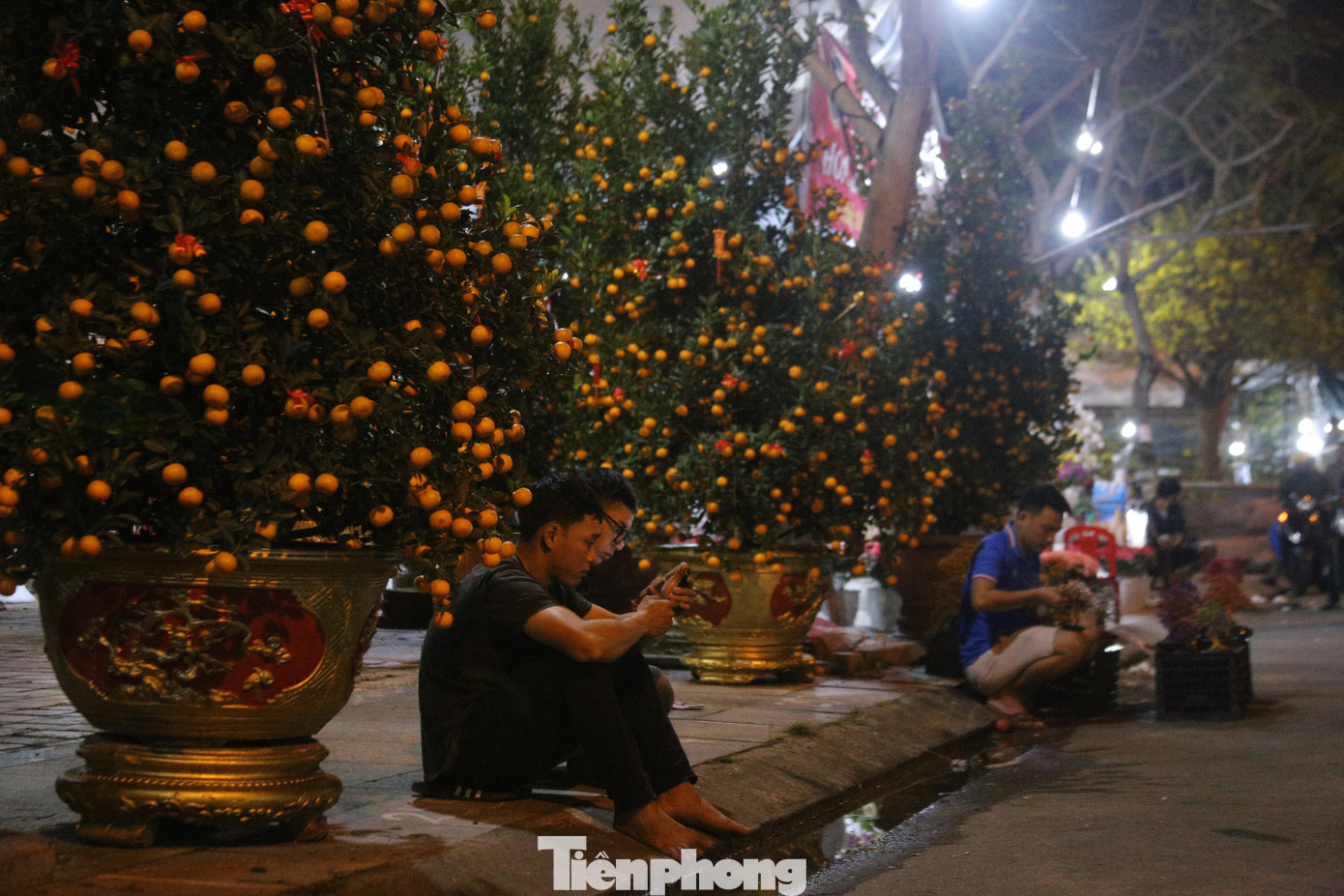 Phải thức xuyên đêm để trông hoa, nhiều tiểu thương chỉ biết bấm điện thoại để "giết" thời gian. Phải thức xuyên đêm để trông hoa, nhiều tiểu thương chỉ biết bấm điện thoại để "giết" thời gian.