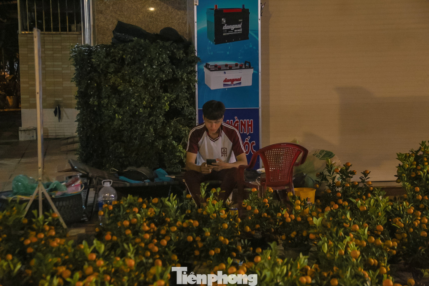 Phải thức xuyên đêm để trông hoa, nhiều tiểu thương chỉ biết bấm điện thoại để "giết" thời gian. Phải thức xuyên đêm để trông hoa, nhiều tiểu thương chỉ biết bấm điện thoại để "giết" thời gian.