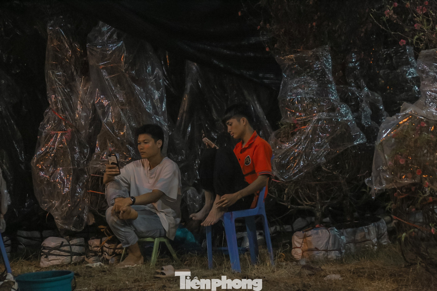 Phải thức xuyên đêm để trông hoa, nhiều tiểu thương chỉ biết bấm điện thoại để "giết" thời gian. Phải thức xuyên đêm để trông hoa, nhiều tiểu thương chỉ biết bấm điện thoại để "giết" thời gian.