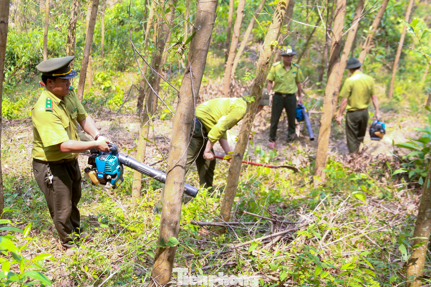 Lực lượng chức năng thường xuyên kiểm tra, dùng máy thổi gió hút thực bì hạn chế cháy rừng xảy ra.