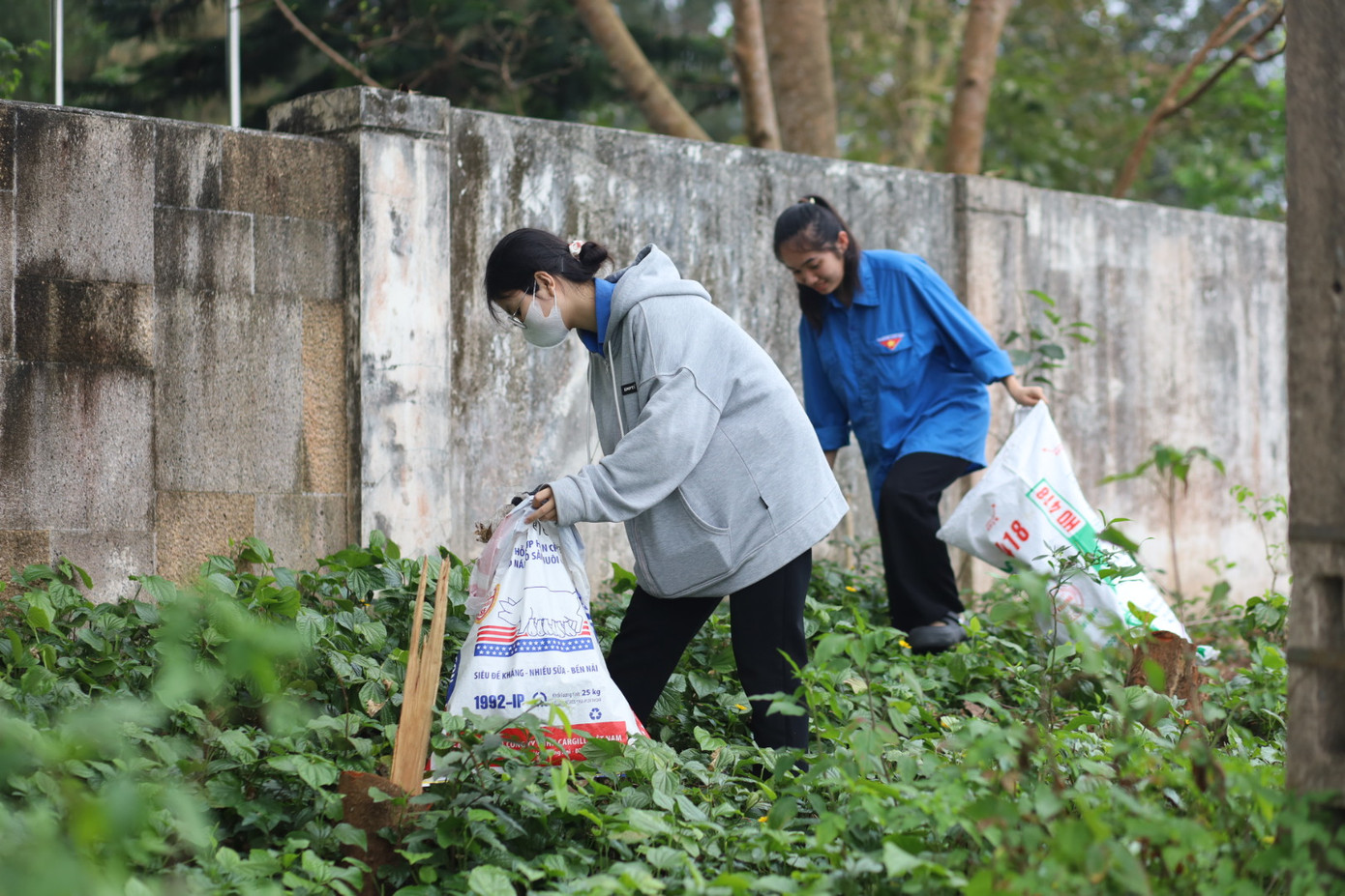 Sau lễ phát động, các nhóm nhận dụng cụ như bao đựng rác, bao tay cùng kẹp gắp rác để thu gom rác. Sau lễ phát động, các nhóm nhận dụng cụ như bao đựng rác, bao tay cùng kẹp gắp rác để thu gom rác.