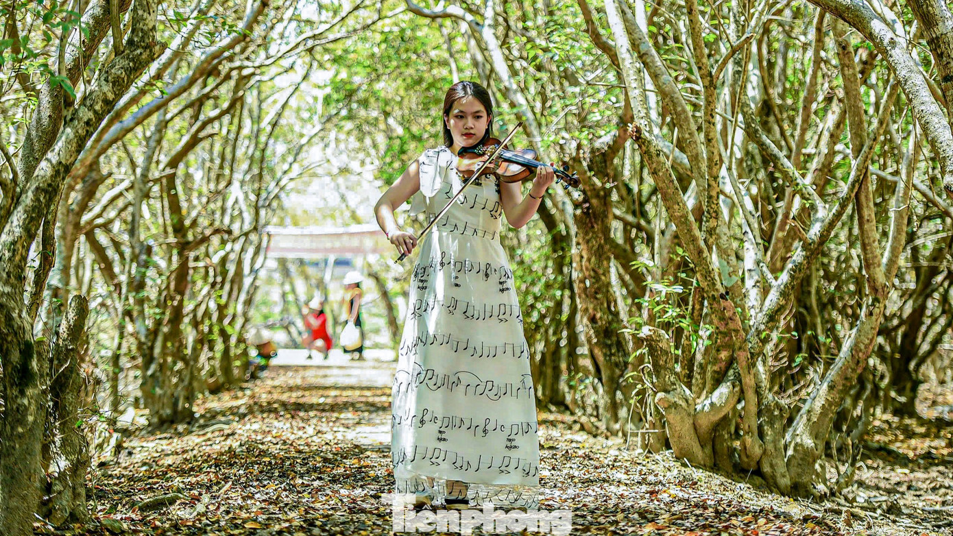 Bạn Vân Linh - sinh viên Học viện Âm nhạc Huế - cho biết, cánh rừng đang vào mùa trổ bông, thay lá rất đẹp. "Em và bạn đến đây để tận hưởng khí trời, nhìn ngắm vẻ đẹp của rừng Rú Chá đang vào thu, cùng nhau tham quan và chụp hình để lưu giữ những bức hình đẹp", Linh nói. Phong cảnh và vẻ đẹp nguyên sơ của Rú Chá thu hút rất đông du khách đến đây tham quan, chụp hình.