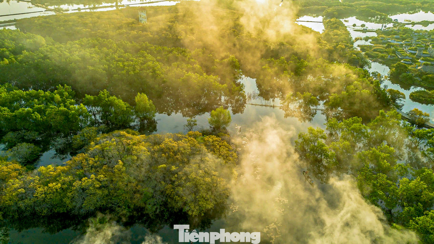 Rú Chá đẹp nhất là vào khoảng tháng 9-10 hằng năm, lúc này cả khu rừng ngập mặn chuyển sang sắc vàng và đỏ, tạo nên một khung cảnh tuyệt đẹp.