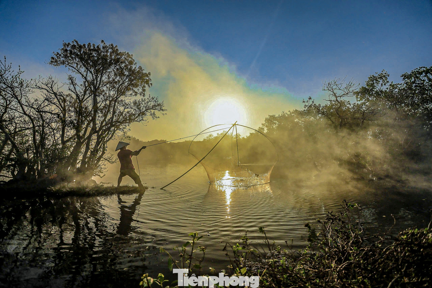 Thời điểm lý tưởng để ngắm cánh rừng Rú Chá là vào lúc sáng sớm hoặc chiều tà.