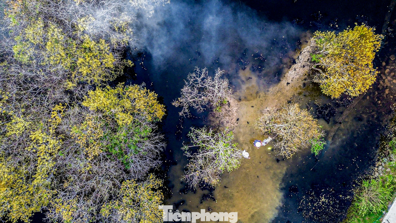 Với vẻ đẹp huyền ảo, thơ mộng, rừng Rú Chá đã trở thành một điểm đến lý tưởng, không thể bỏ lỡ đối với nhiều người muốn hòa mình vào không gian thiên nhiên khi đến Huế du lịch.