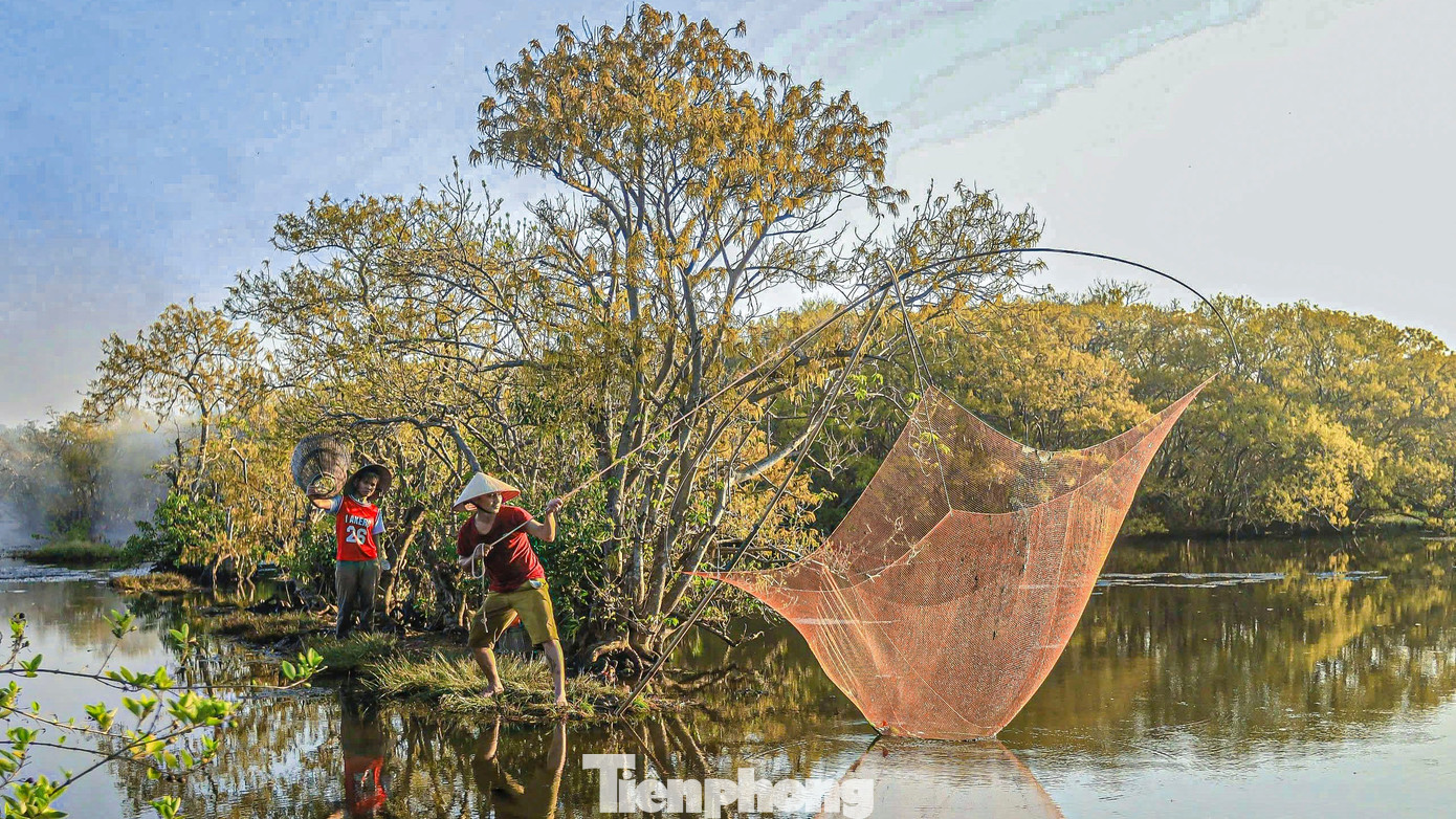 Đến đây, du khách có thể thuê một chiếc thuyền nan nhỏ, chèo thuyền len lỏi trong rừng, tự mình khám phá khu rừng nguyên sinh và cùng nhau trải nghiệm.