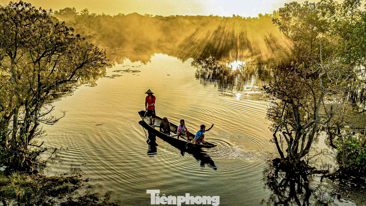 Đến đây, du khách có thể thuê một chiếc thuyền nan nhỏ, chèo thuyền len lỏi trong rừng, tự mình khám phá khu rừng nguyên sinh và cùng nhau trải nghiệm.