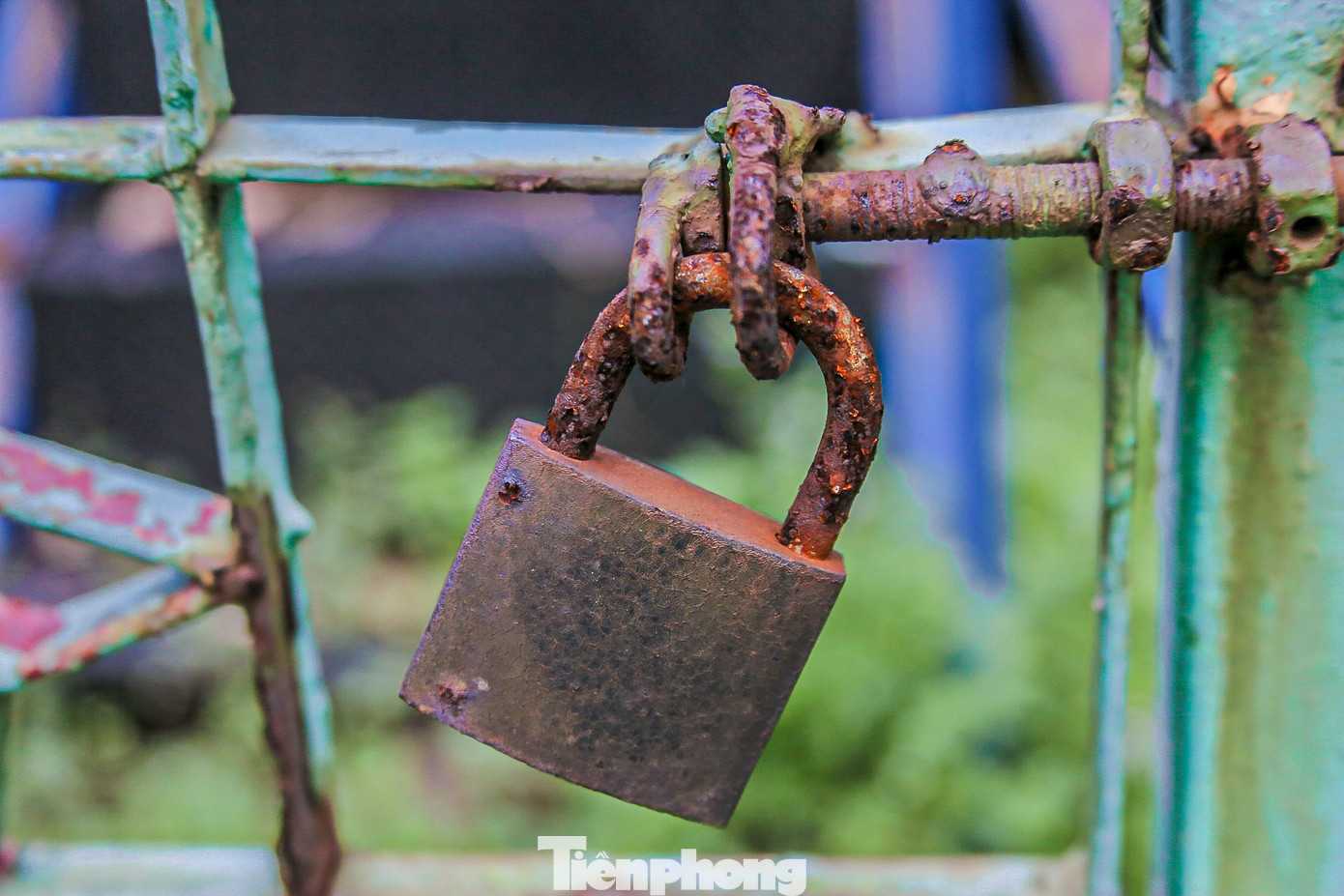 Những mái nhà trong khu vui chơi hiện đã xuống cấp. Những mái nhà trong khu vui chơi hiện đã xuống cấp.