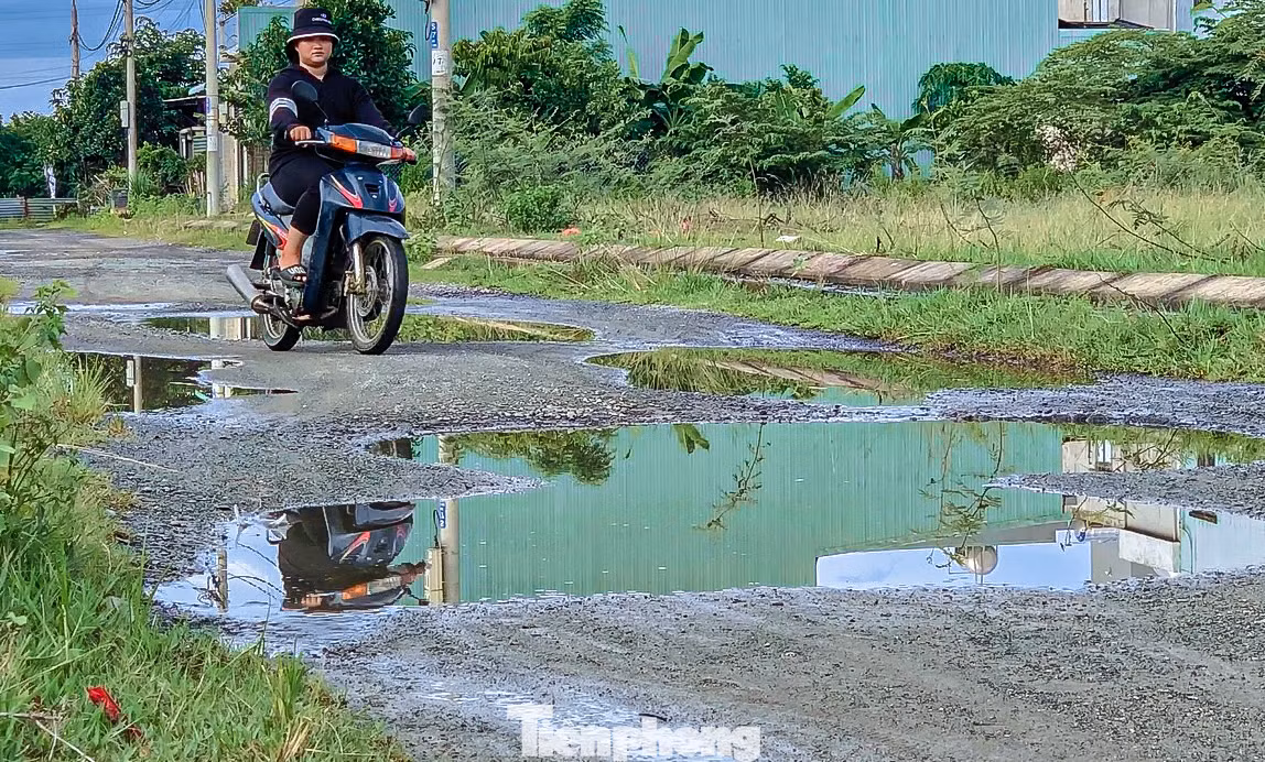 Đường nhiều ổ gà gây nguy hiểm cho người đi đường.