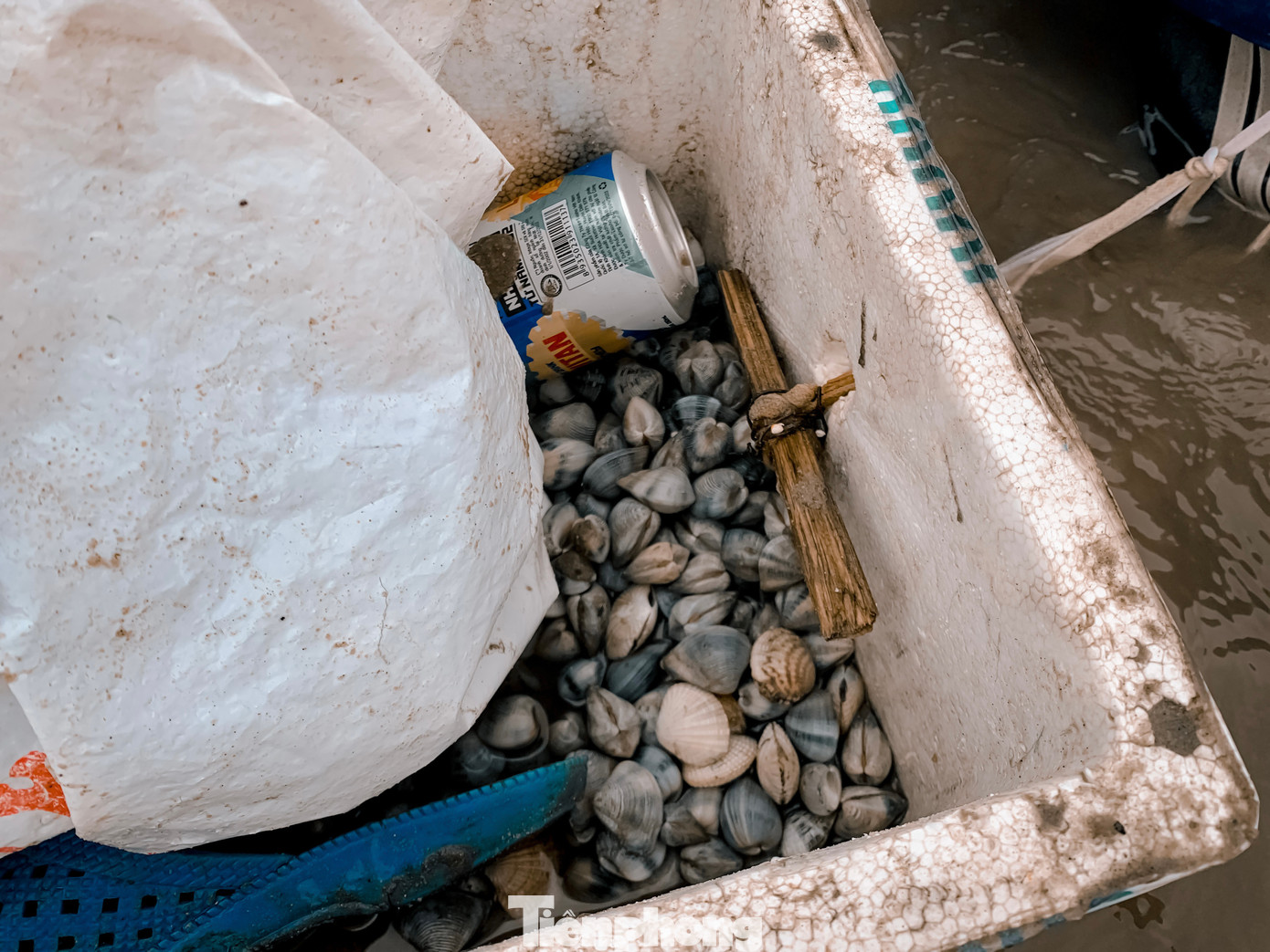 Dụng cụ để cào nghêu, sò của những người dân là một chiếc cào mini bằng sắt để dễ dàng đào bới và một túi đựng sò.