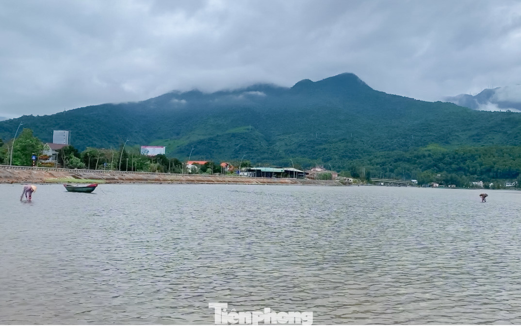 Cứ 4 giờ sáng mỗi ngày, khi nước rút là lúc người dân sống ở ven đầm lập an (xã Lộc Hải, huyện Phú Lộc) lại lặn lội ra giữa đầm nước lạnh để cào nghêu, sò mưu sinh.