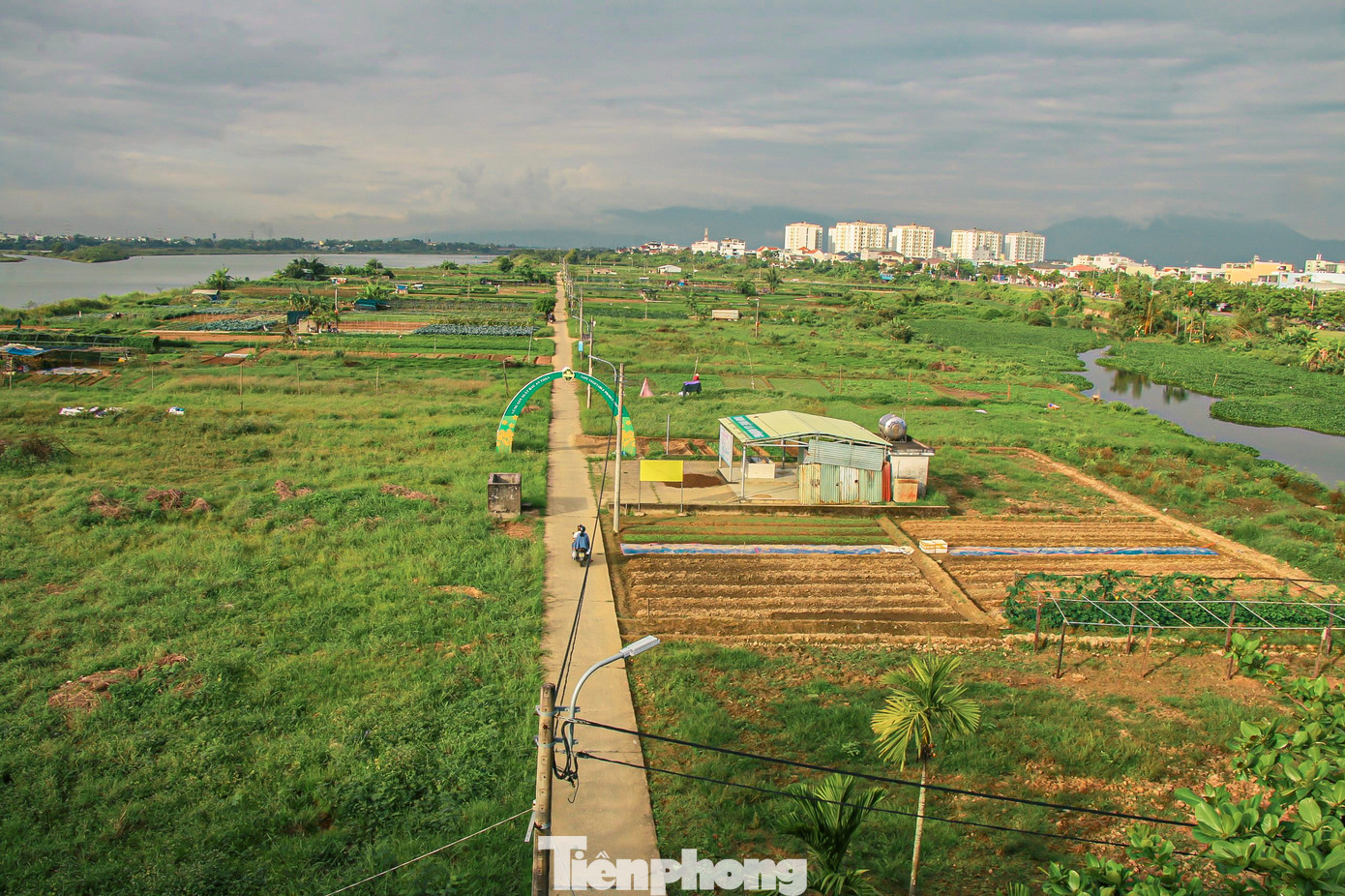 Làng rau La Hường (phường Hòa Thọ Đông, quận Cẩm Lệ) là vườn rau sạch lớn nhất của thành phố Đà Nẵng với diện tích hơn 7ha và hơn 50 hộ tham gia sản xuất, mỗi năm cung cấp cho thị trường khoảng 500 tấn rau sạch.