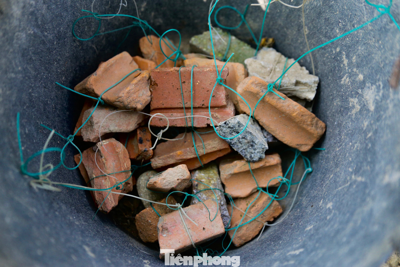 Đá được buộc sẵn vào dây trước khi đem buộc vào những quả mướp.