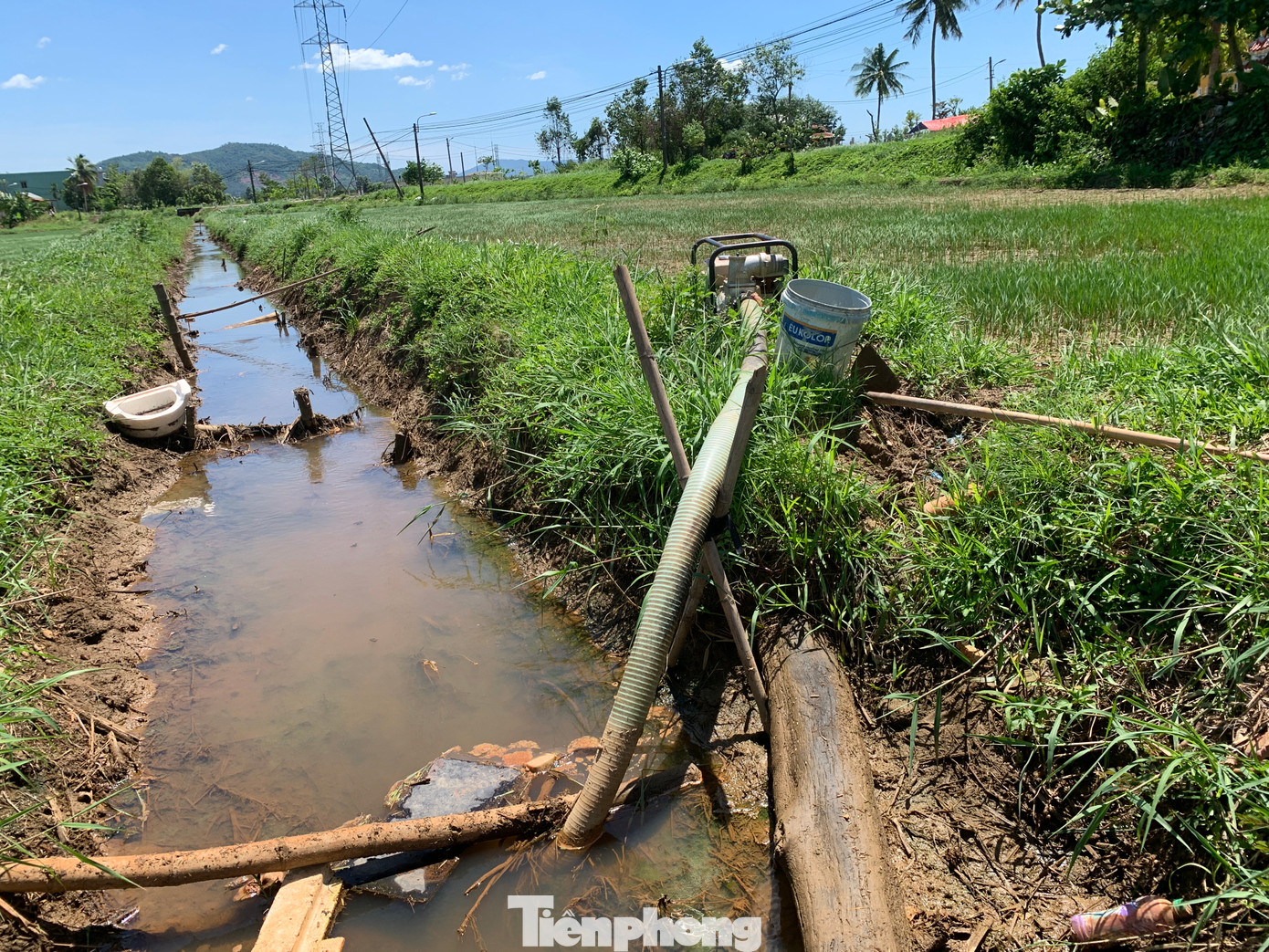 Người dân phải dùng máy bơm để lấy nước tưới cho ruộng lúa. Người dân phải dùng máy bơm để lấy nước tưới cho ruộng lúa.
