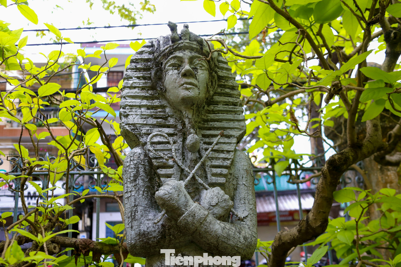 Sau hơn 1 thế kỷ và trải qua bao thăng trầm, đến nay ngôi nhà vẫn giữ nguyên vẹn nét kiến trúc độc đáo, với 3 lớp cửa và các chi tiết mang đậm phong cách Tây. Sau hơn 1 thế kỷ và trải qua bao thăng trầm, đến nay ngôi nhà vẫn giữ nguyên vẹn nét kiến trúc độc đáo, với 3 lớp cửa và các chi tiết mang đậm phong cách Tây.