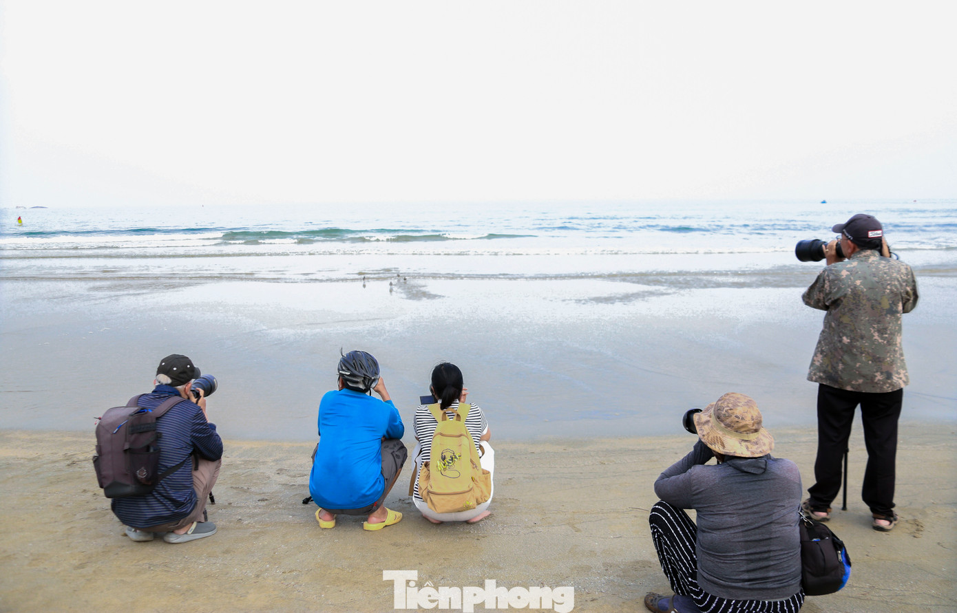 Theo ông Nghinh, ngoài kỹ năng, việc săn ảnh loài chim này còn đòi hỏi kiến thức về thời gian di cư, tập tính sinh hoạt và sự cẩn trọng để không làm chim sợ hãi. Theo ông Nghinh, ngoài kỹ năng, việc săn ảnh loài chim này còn đòi hỏi kiến thức về thời gian di cư, tập tính sinh hoạt và sự cẩn trọng để không làm chim sợ hãi.