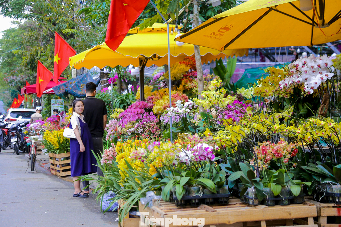 Bên cạnh đó, các loại cây cảnh, lan hồ điệp cũng được bày bán với mức giá phù hợp, thu hút đông đảo người mua. Bên cạnh đó, các loại cây cảnh, lan hồ điệp cũng được bày bán với mức giá phù hợp, thu hút đông đảo người mua.