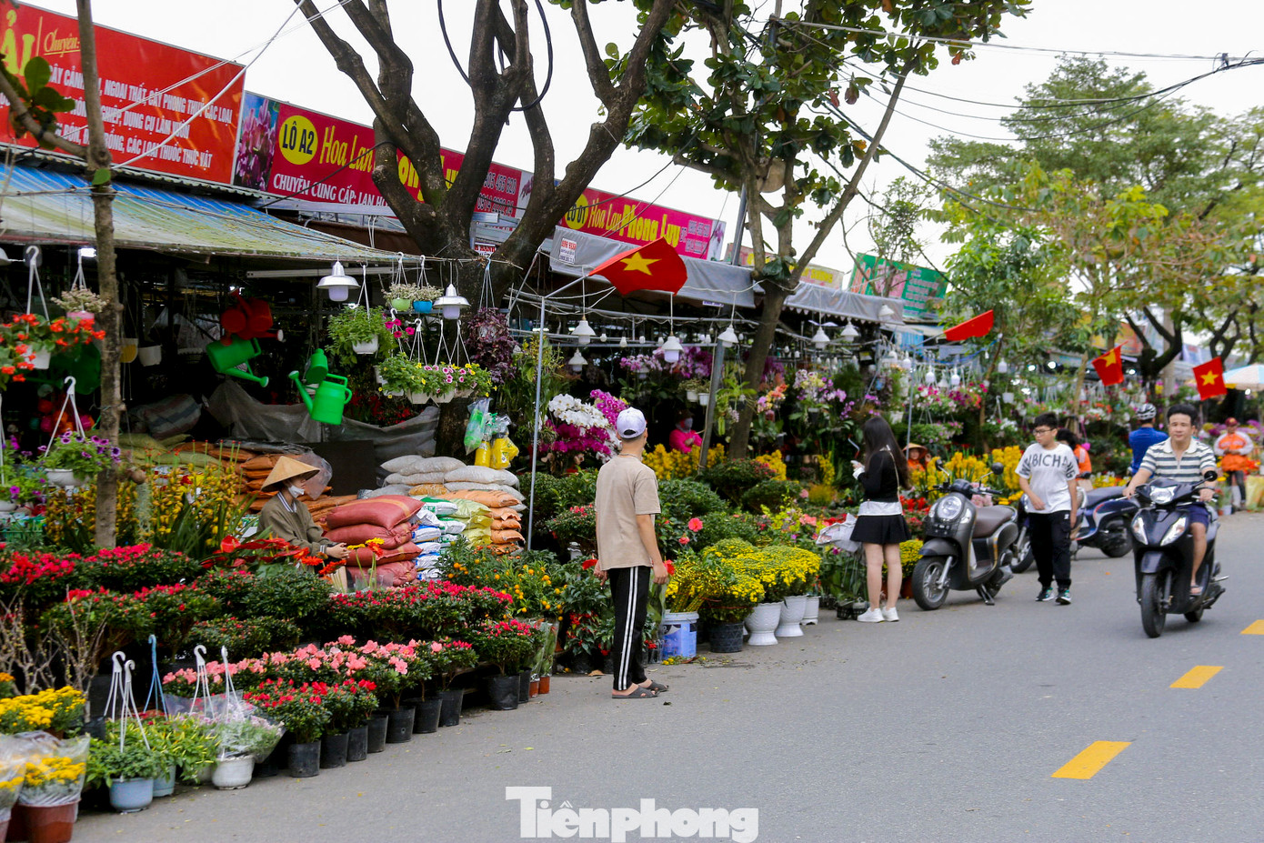 Bên cạnh đó, các loại cây cảnh, lan hồ điệp cũng được bày bán với mức giá phù hợp, thu hút đông đảo người mua. Bên cạnh đó, các loại cây cảnh, lan hồ điệp cũng được bày bán với mức giá phù hợp, thu hút đông đảo người mua.