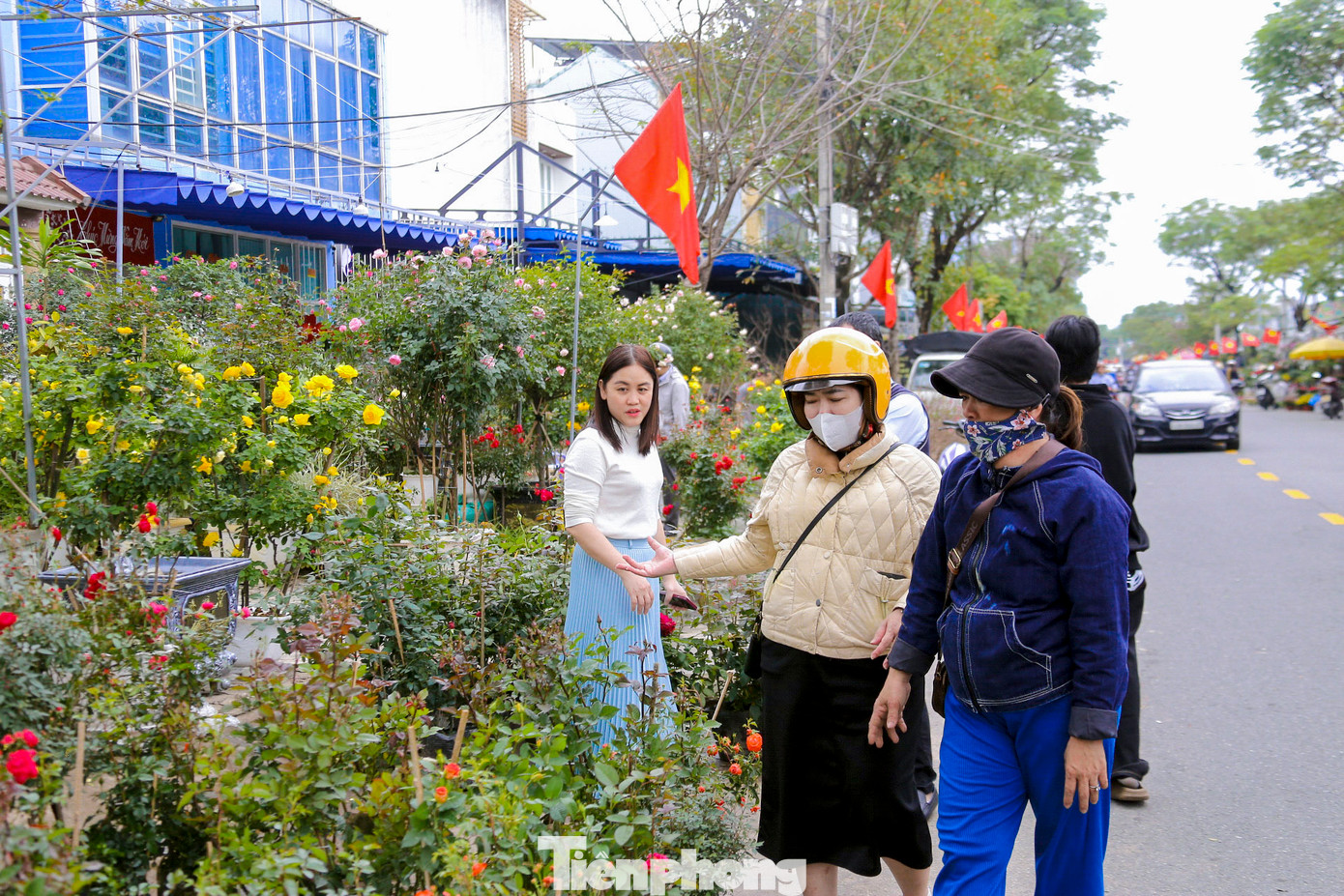 Đến với chợ hoa Tết, người dân được thoải mái lựa chọn, mua những chậu hoa tươi mà mình ưng ý. Đến với chợ hoa Tết, người dân được thoải mái lựa chọn, mua những chậu hoa tươi mà mình ưng ý.