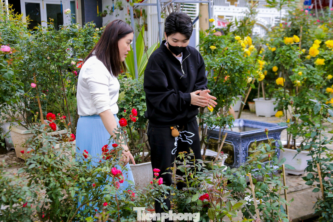 Đến với chợ hoa Tết, người dân được thoải mái lựa chọn, mua những chậu hoa tươi mà mình ưng ý. Đến với chợ hoa Tết, người dân được thoải mái lựa chọn, mua những chậu hoa tươi mà mình ưng ý.