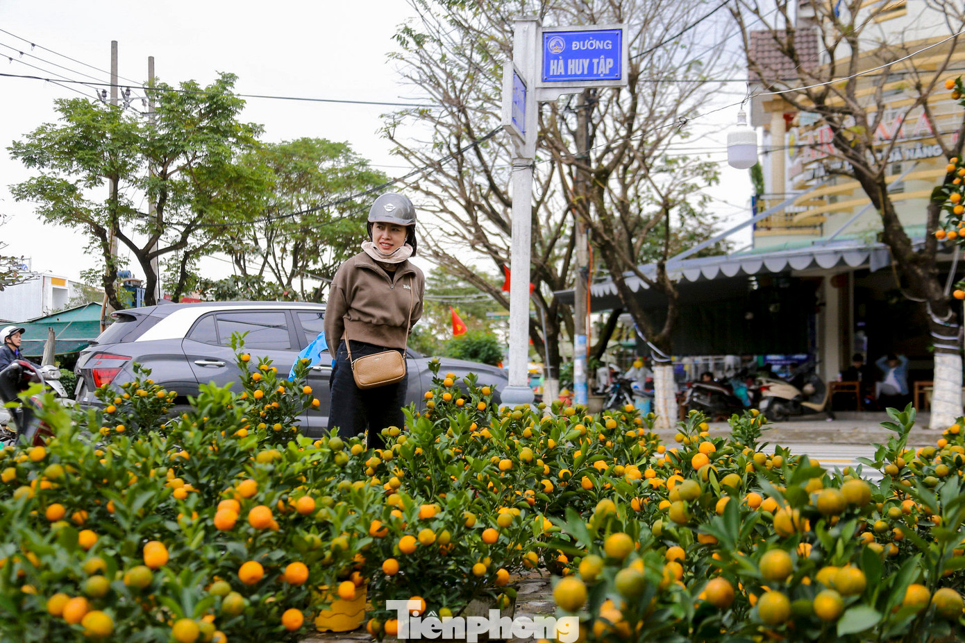 Chị Phạm Thị Thơm (trú quận Thanh Khê) chia sẻ: "Chỉ còn khoảng 10 ngày nữa là Tết rồi nên phải tranh thủ mua hoa, quất sớm. Hoa ở đây không chỉ đẹp mà giá cả cũng hợp lý, lại có nhiều sự lựa chọn cho người mua". Chị Phạm Thị Thơm (trú quận Thanh Khê) chia sẻ: "Chỉ còn khoảng 10 ngày nữa là Tết rồi nên phải tranh thủ mua hoa, quất sớm. Hoa ở đây không chỉ đẹp mà giá cả cũng hợp lý, lại có nhiều sự lựa chọn cho người mua".