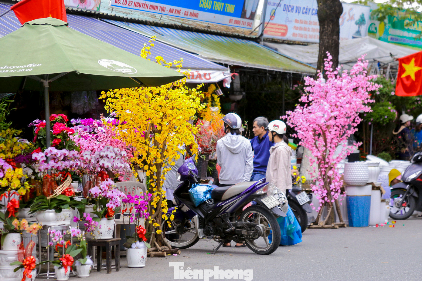 Không khí tại các chợ hoa Đà Nẵng đang rộn ràng, nhộn nhịp. Tết đang đến rất gần, những chậu hoa rực rỡ sẽ tiếp thêm sắc xuân, mang lại niềm vui và hy vọng cho mọi người mỗi dịp Tết đến xuân về. Không khí tại các chợ hoa Đà Nẵng đang rộn ràng, nhộn nhịp. Tết đang đến rất gần, những chậu hoa rực rỡ sẽ tiếp thêm sắc xuân, mang lại niềm vui và hy vọng cho mọi người mỗi dịp Tết đến xuân về.
