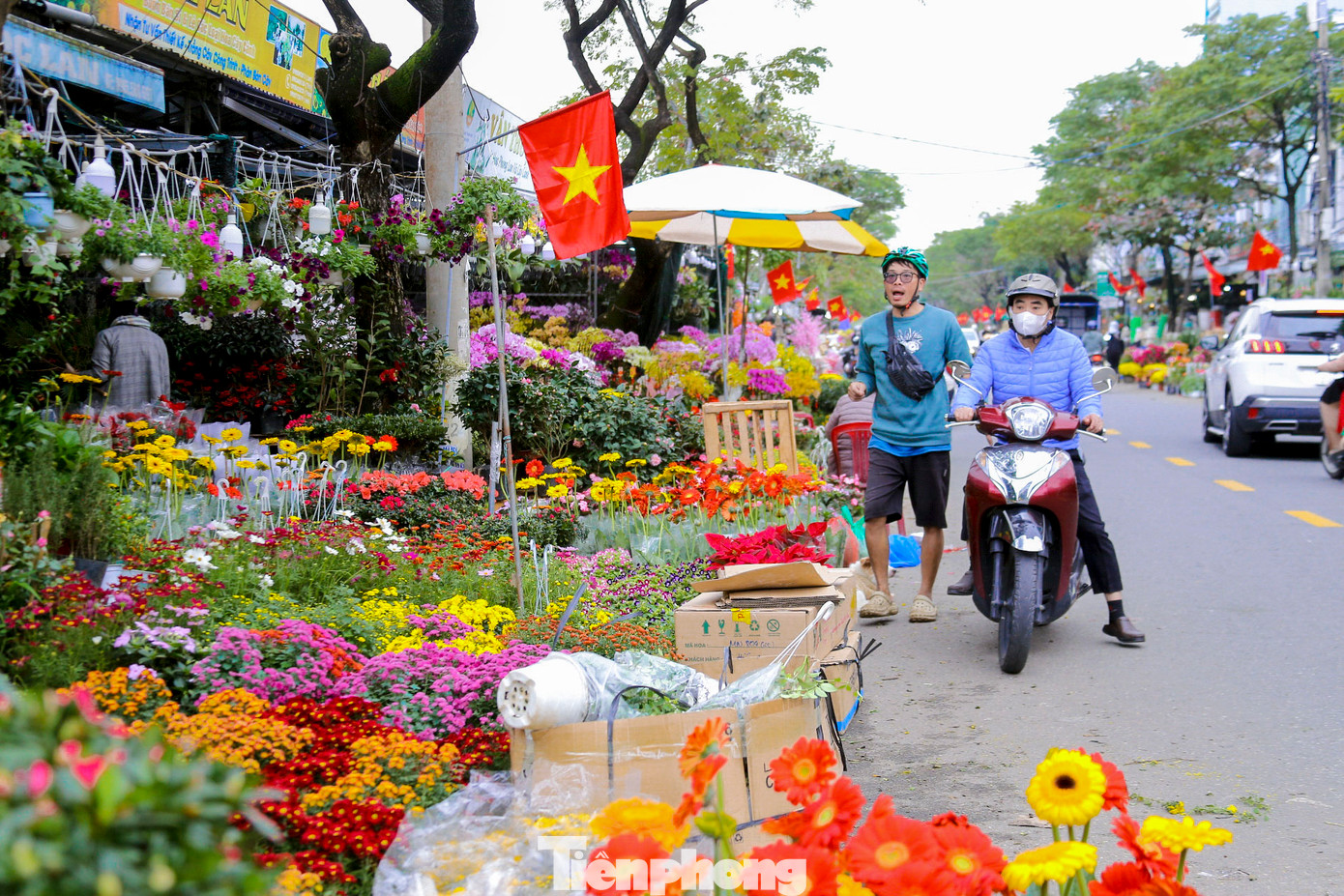 Nhiều loại hoa như cúc mâm xôi, hoa trà mi, hoa trạng nguyên, hoa lan... rực rỡ được bày bán dọc các con đường ở chợ hoa. Nhiều loại hoa như cúc mâm xôi, hoa trà mi, hoa trạng nguyên, hoa lan... rực rỡ được bày bán dọc các con đường ở chợ hoa.