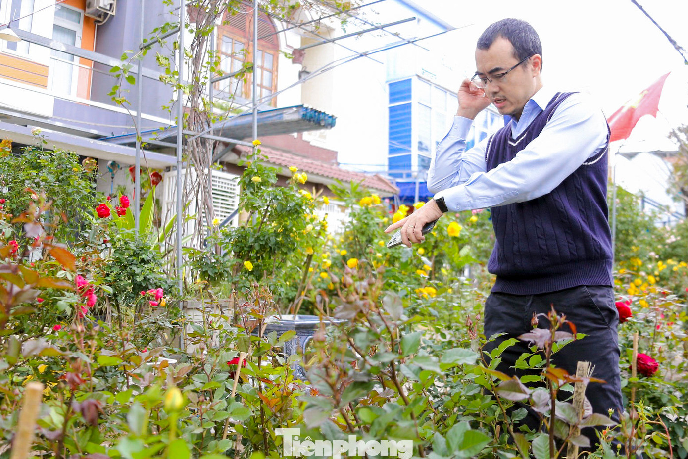 Những chậu hoa hồng rực rỡ cũng được anh Nguyễn Tân (trú quận Hải Châu) chọn mua để trang trí trong dịp Tết năm nay. "Trước đó tôi đã mua hoa mai và hoa cúc, nhưng vẫn thiếu hoa hồng. Bây giờ tôi chọn thêm vài chậu nữa để không gian thêm rực rỡ. Hy vọng những chậu hoa tươi tắn sẽ mang lại may mắn và tài lộc cho gia đình trong năm mới", anh Tân nói. Những chậu hoa hồng rực rỡ cũng được anh Nguyễn Tân (trú quận Hải Châu) chọn mua để trang trí trong dịp Tết năm nay. "Trước đó tôi đã mua hoa mai và hoa cúc, nhưng vẫn thiếu hoa hồng. Bây giờ tôi chọn thêm vài chậu nữa để không gian thêm rực rỡ. Hy vọng những chậu hoa tươi tắn sẽ mang lại may mắn và tài lộc cho gia đình trong năm mới", anh Tân nói.