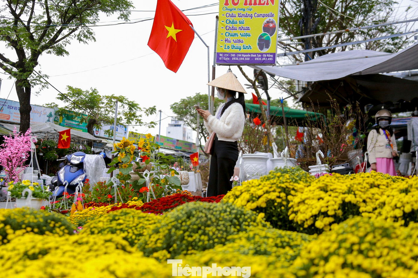 Nhiều loại hoa như cúc mâm xôi, hoa trà mi, hoa trạng nguyên, hoa lan... rực rỡ được bày bán dọc các con đường ở chợ hoa. Nhiều loại hoa như cúc mâm xôi, hoa trà mi, hoa trạng nguyên, hoa lan... rực rỡ được bày bán dọc các con đường ở chợ hoa.