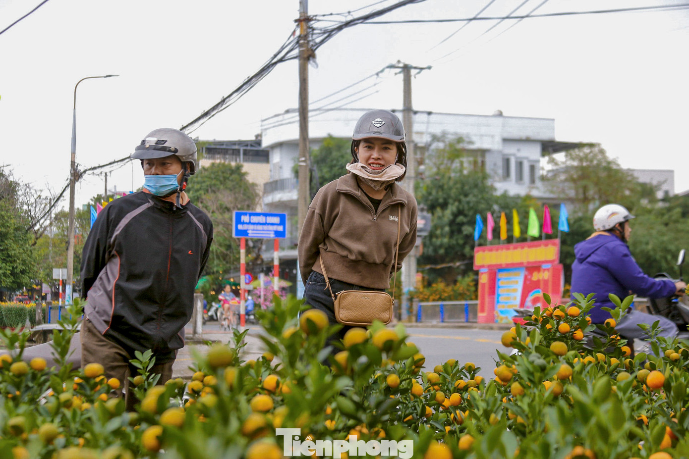 So với những năm trước, giá cả các loại hoa Tết tại Đà Nẵng năm nay khá ổn định. Cúc mâm xôi được bán với giá từ 160.000 - 180.000 đồng, quất cảnh dao động từ 180.000 đến 1 triệu đồng tùy kích thước. So với những năm trước, giá cả các loại hoa Tết tại Đà Nẵng năm nay khá ổn định. Cúc mâm xôi được bán với giá từ 160.000 - 180.000 đồng, quất cảnh dao động từ 180.000 đến 1 triệu đồng tùy kích thước.