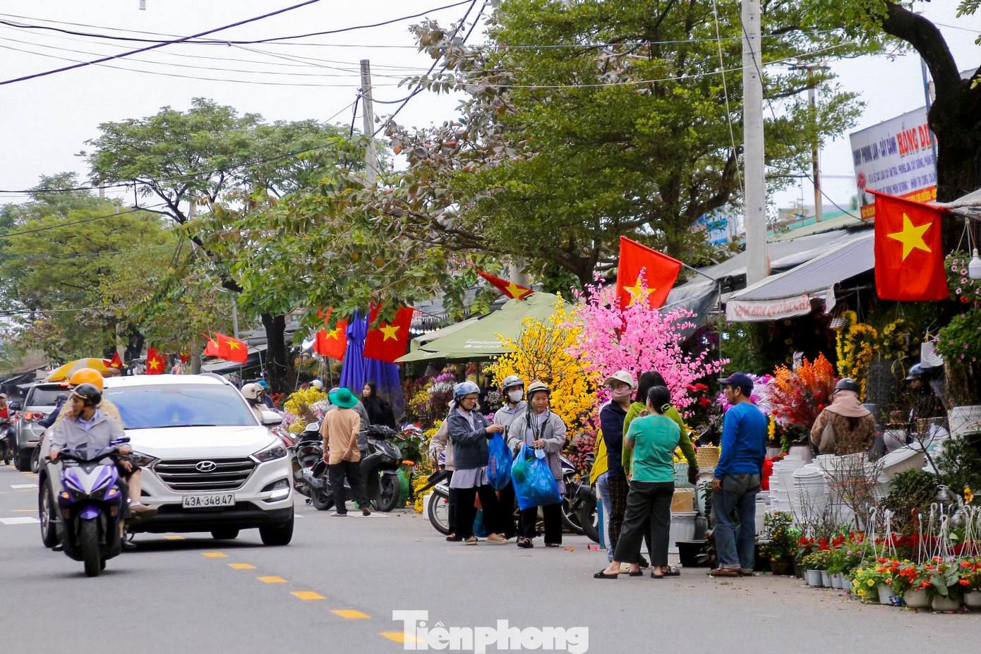 Thời tiết trong sáng 18/1 nắng đẹp, nhiều người dân đổ về các chợ hoa xuân ở Đà Nẵng để mua hoa trang trí nhà cửa. Thời tiết trong sáng 18/1 nắng đẹp, nhiều người dân đổ về các chợ hoa xuân ở Đà Nẵng để mua hoa trang trí nhà cửa.