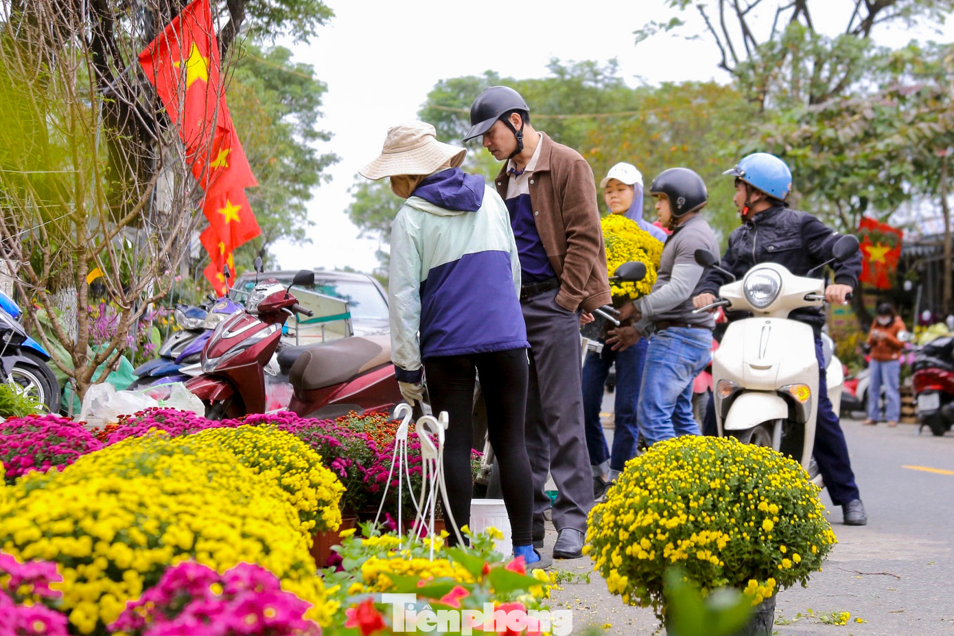 Đến với chợ hoa Tết, người dân được thoải mái lựa chọn, mua những chậu hoa tươi mà mình ưng ý. Đến với chợ hoa Tết, người dân được thoải mái lựa chọn, mua những chậu hoa tươi mà mình ưng ý.