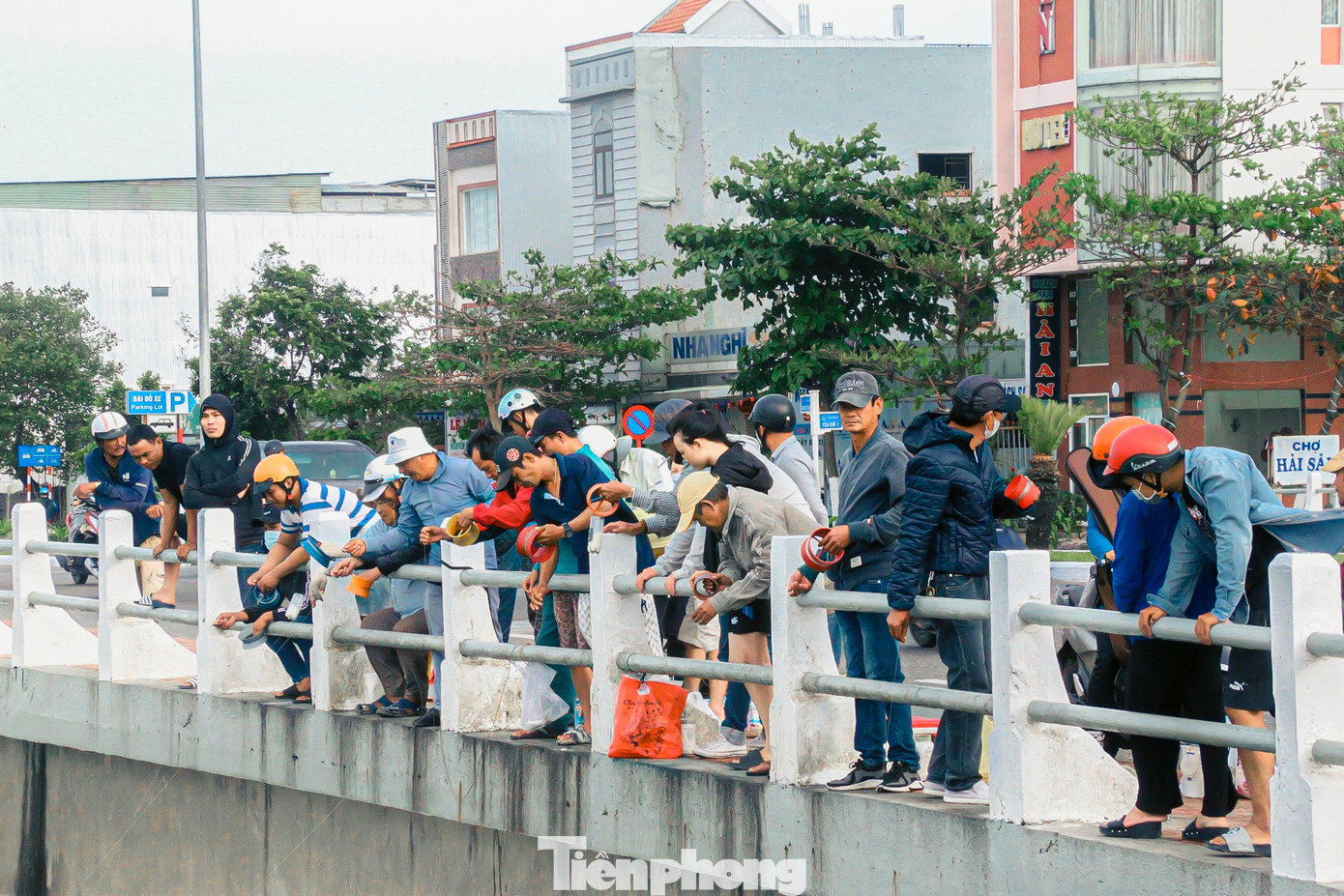 Tại cầu Phú Lộc (phường Thanh Khê Tây, quận Thanh Khê, Đà Nẵng) nơi sông Phú Lộc đổ ra biển, hàng ngày thu hút hàng chục cần thủ đổ về để câu cá, không chỉ đơn giản là giải trí, tìm niềm vui mà còn có thể kiếm thêm thu nhập.