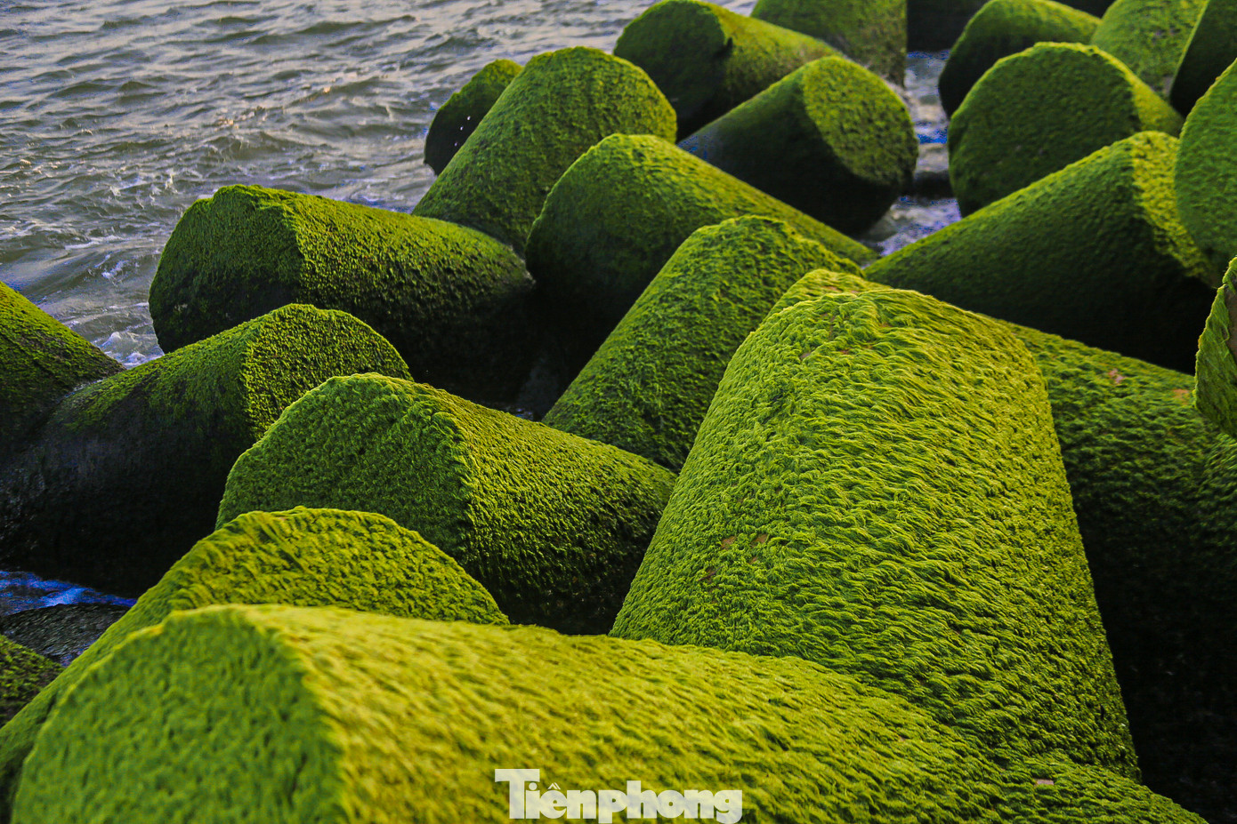 Những thảm rêu xanh mướt hiện lên đẹp lung linh trên những tản đá.