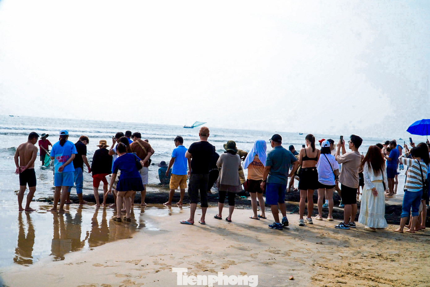 Từ sáng sớm, khi mặt trời vừa ló dạng, nhiều du khách đã tập trung tại bãi biển Mân Thái (quận Sơn Trà) để tận mắt chứng kiến cảnh kéo lưới rùng. Đây là phương pháp đánh bắt ven bờ của ngư dân làng chài Đà Nẵng.