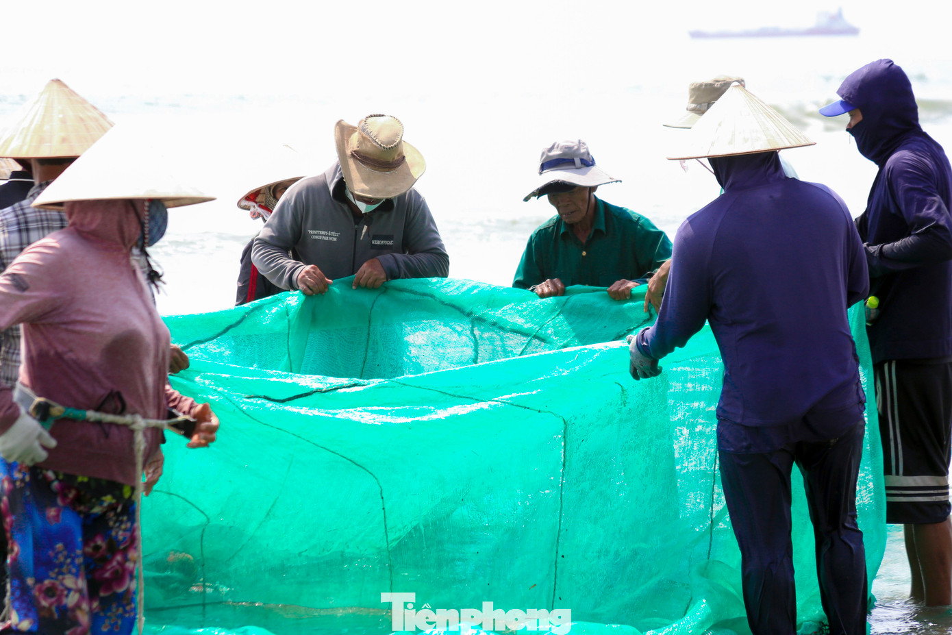 Sau hơn hai giờ kéo lưới lên bờ, ngư dân sẽ cùng nhau thu hoạch. Nhiều loại cá được gỡ ra khỏi mắt lưới, tập trung lại một nơi và bán cho người dân, du khách tắm biển tại đây.