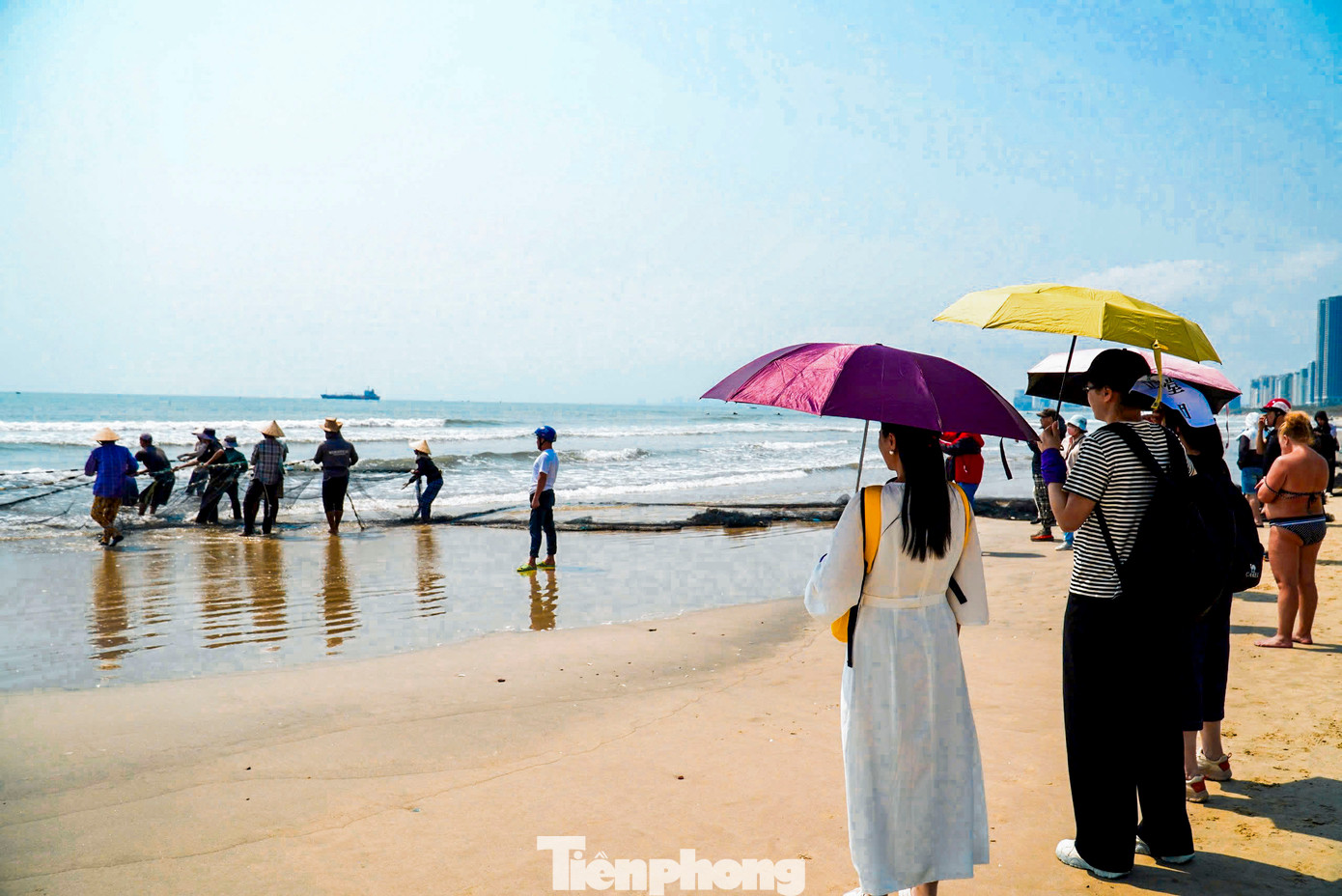 Từ sáng sớm, khi mặt trời vừa ló dạng, nhiều du khách đã tập trung tại bãi biển Mân Thái (quận Sơn Trà) để tận mắt chứng kiến cảnh kéo lưới rùng. Đây là phương pháp đánh bắt ven bờ của ngư dân làng chài Đà Nẵng.