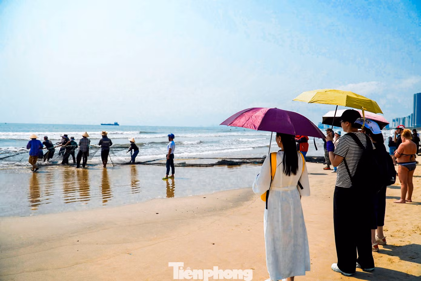 Từ sáng sớm, khi mặt trời vừa ló dạng, nhiều du khách đã tập trung tại bãi biển Mân Thái (quận Sơn Trà) để tận mắt chứng kiến cảnh kéo lưới rùng. Đây là phương pháp đánh bắt ven bờ của ngư dân làng chài Đà Nẵng.