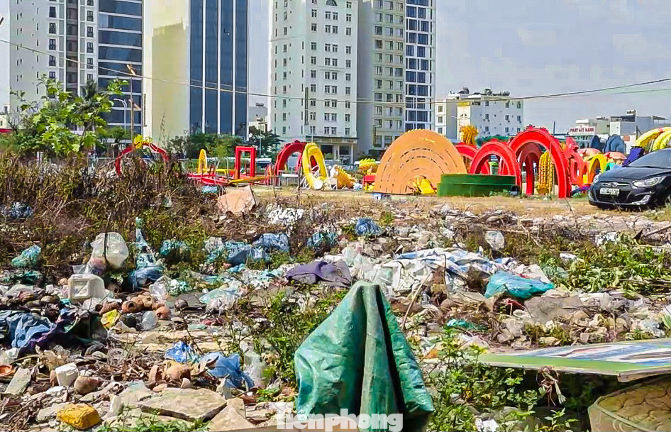 Rác thải, cây cỏ mọc um tùm xung quanh khu đất.