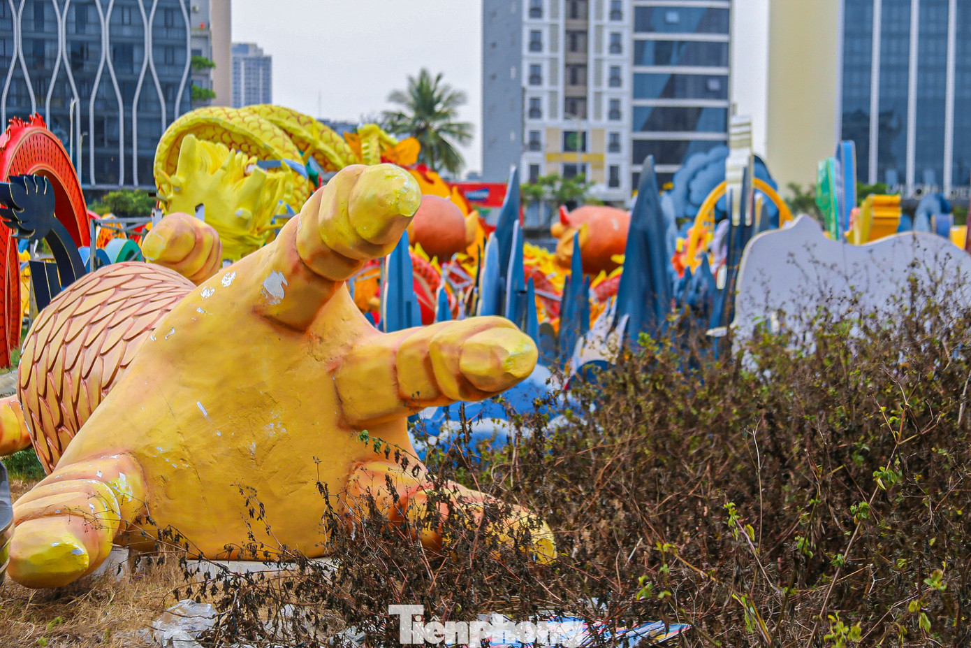 Rác thải, cây cỏ mọc um tùm xung quanh khu đất.