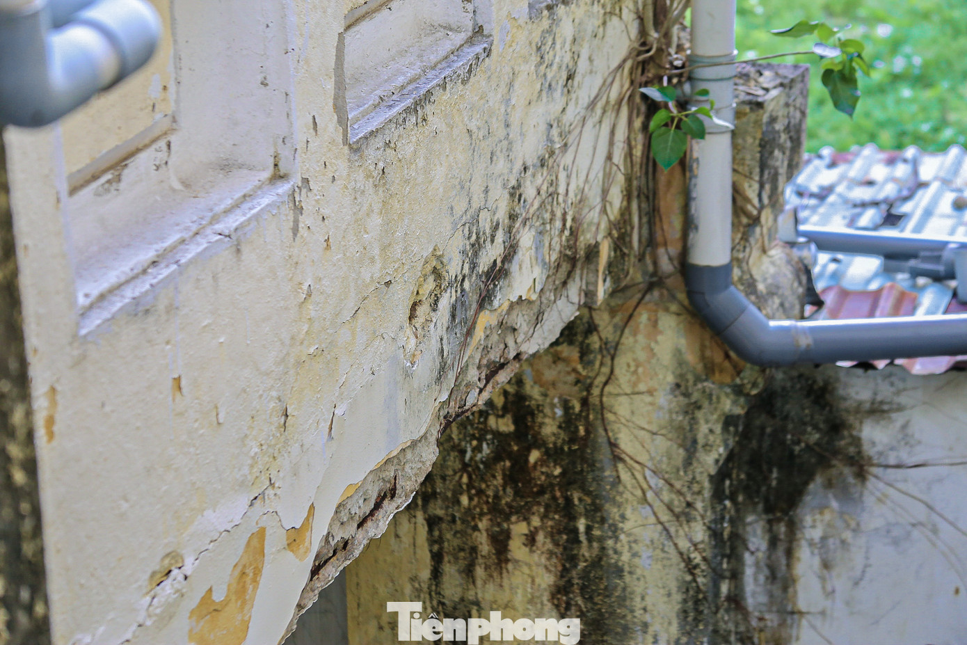 Nhiều hạng mục đã bị xuống cấp, rêu, mốc bám đầy. Nhiều hạng mục đã bị xuống cấp, rêu, mốc bám đầy.