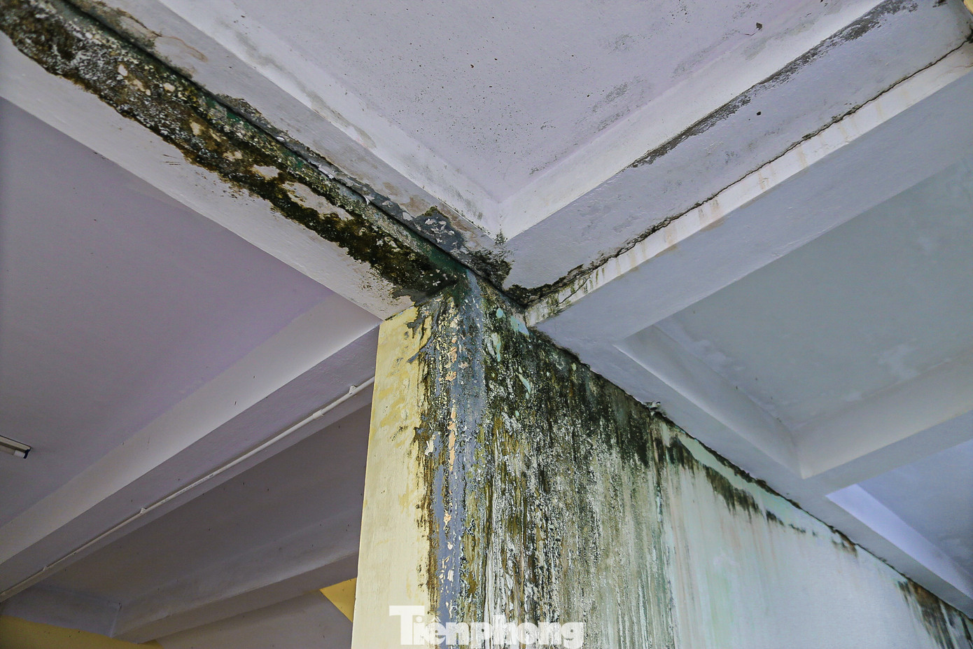 Nhiều mảng tường bong tróc, thấm dột vào mùa mưa. Nhiều mảng tường bong tróc, thấm dột vào mùa mưa.