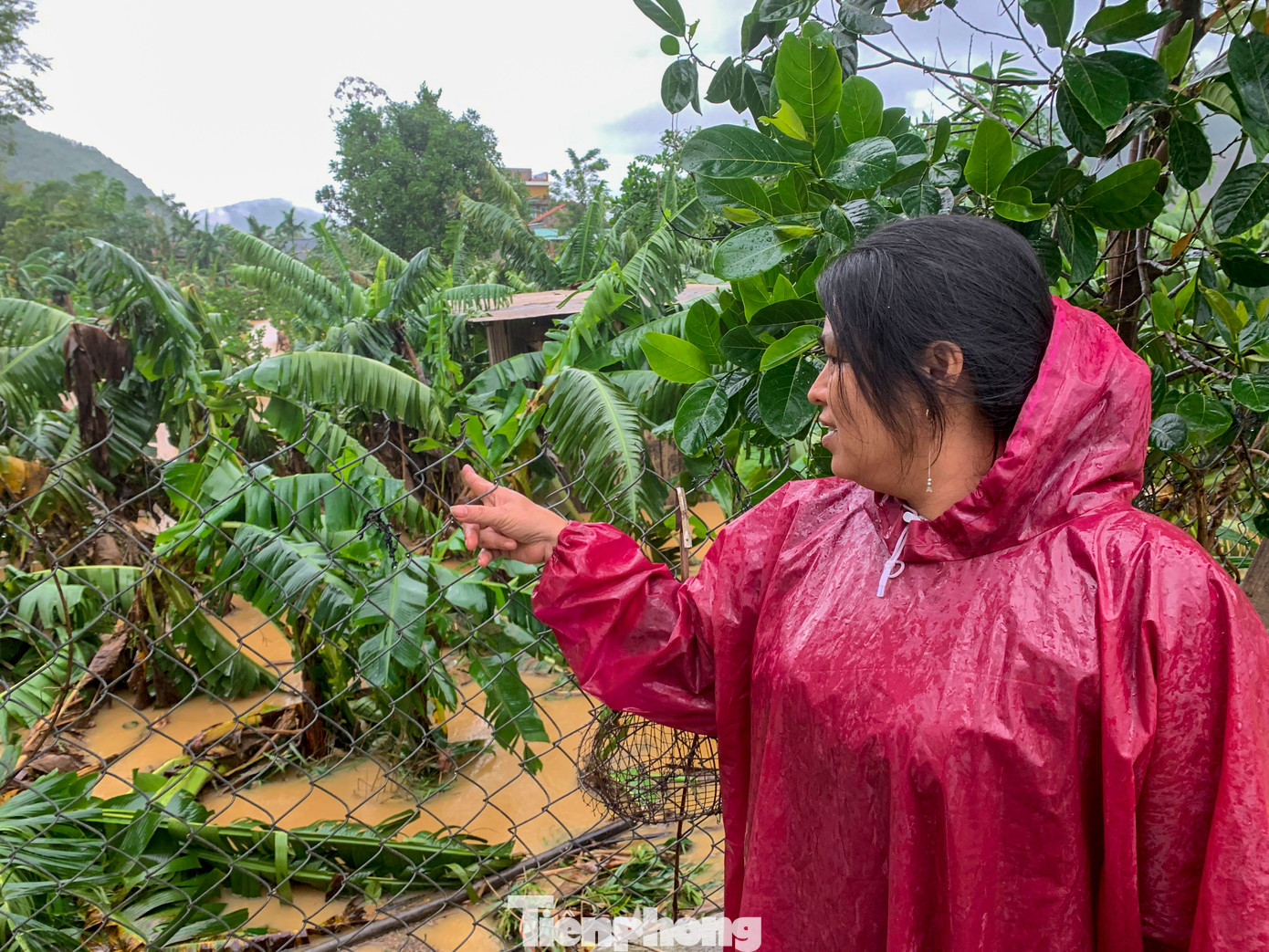 Nhiều diện tích hoa màu của người dân bị hư hại. Nhiều diện tích hoa màu của người dân bị hư hại.