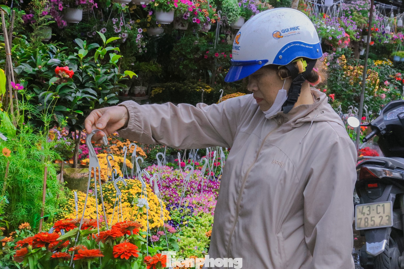 Chị Mai Tâm (trú phường An Khê, quận Thanh Khê) cho hay, năm nào gia đình chị cũng mua hoa về trang trí để tận hưởng không khí đón Tết. Năm nay nhiều chậu hoa lạ, rực rỡ và đẹp mắt nên chị đã đến mua từ rất sớm, mong sao có một cái Tết thật may mắn, hạnh phúc cùng gia đình.