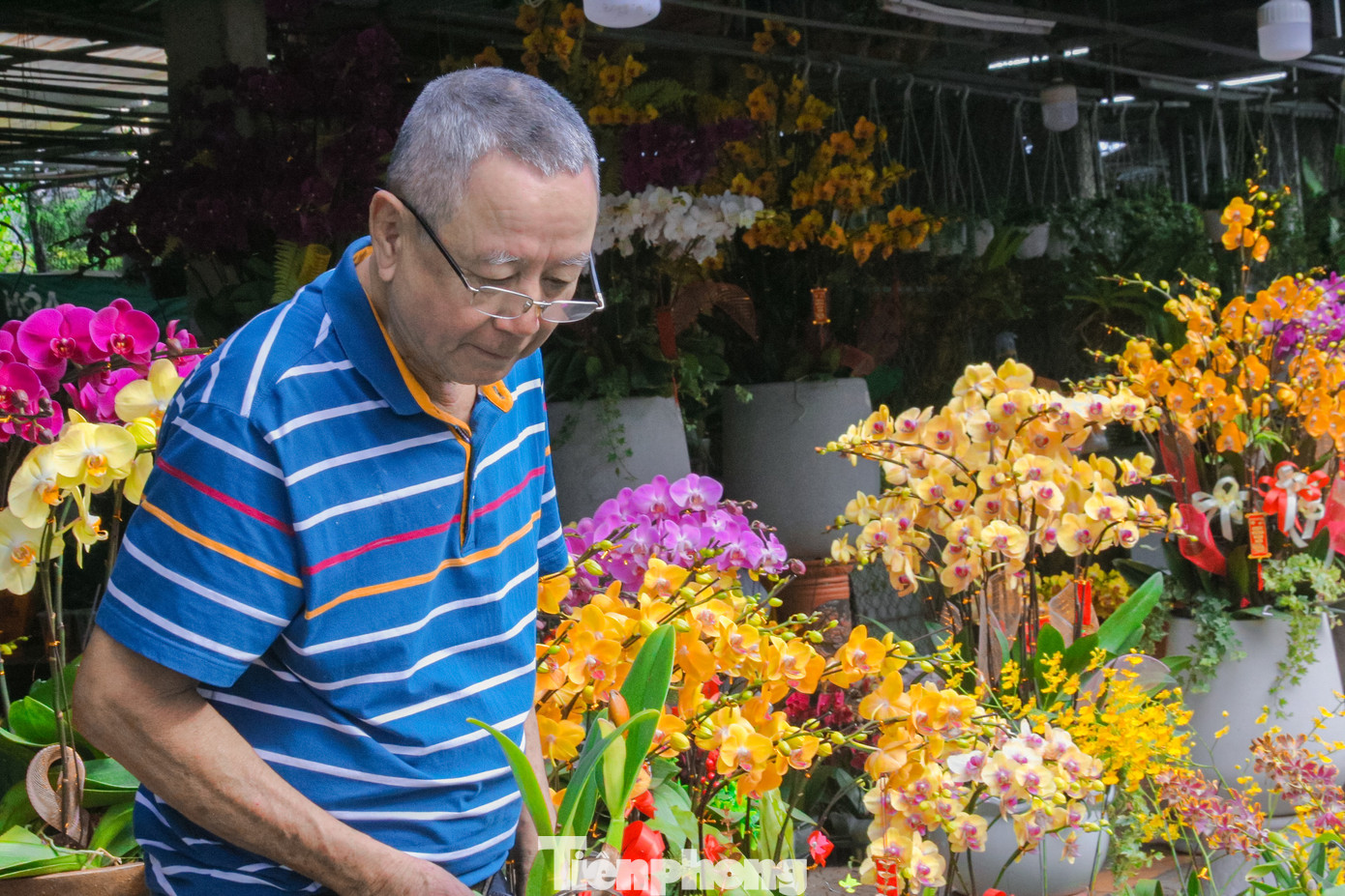 Nhiều loại hoa tươi trang trí nhà cửa như đào, hoa lan, hoa cúc, quất mini… được các tiểu thương nhập về nhiều, đáp ứng nhu cầu mua sắm của người dân dịp cuối năm.