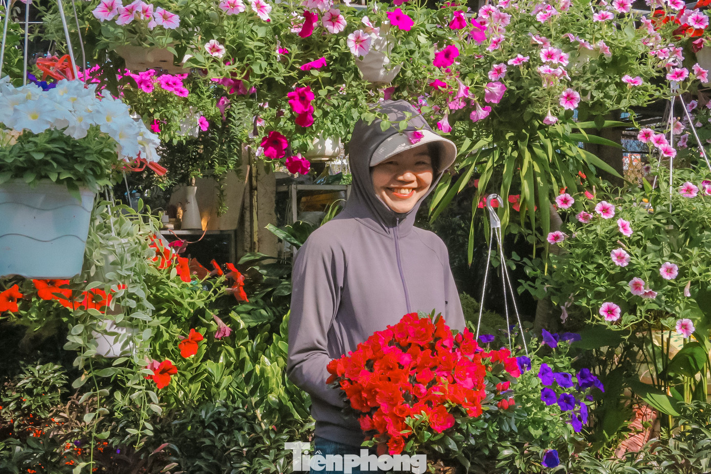 Chị Trần Thanh Thúy - tiểu thương bán hoa trên đường Nguyễn Đình Tựu cho biết, giá các loại hoa năm nay có tăng nhưng không nhiều, mấy hôm nay khách đến mua rất đông. “Năm nay Cúc mâm xôi bán rất chạy vì mang ý nghĩa giúp gia đình may mắn, suôn sẻ trong mọi việc nên được rất nhiều gia đình lựa chọn trang trí dịp Tết. Giá cúc mâm xôi dao động từ 150.000-200.000 đồng/chậu”, chị Thúy nói.