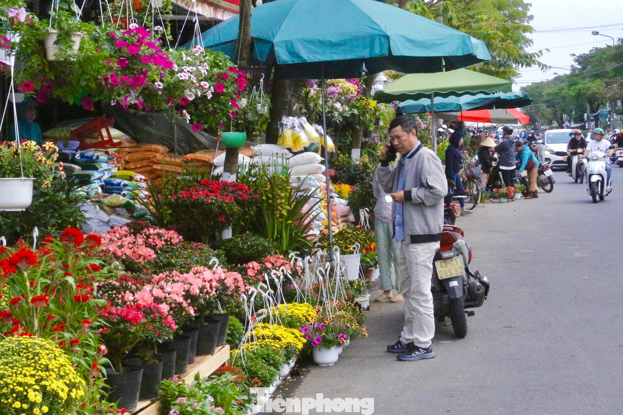 Ghi nhận của phóng viên, trên các tuyến đường Nguyễn Đình Tựu, Lê Đại Hành, Hoàng Thị Loan (TP. Đà Nẵng) ngập tràn không khí xuân về, nhiều người đổ về mua hoa, cây cảnh để trang hoàng nhà cửa chuẩn bị đón Tết.