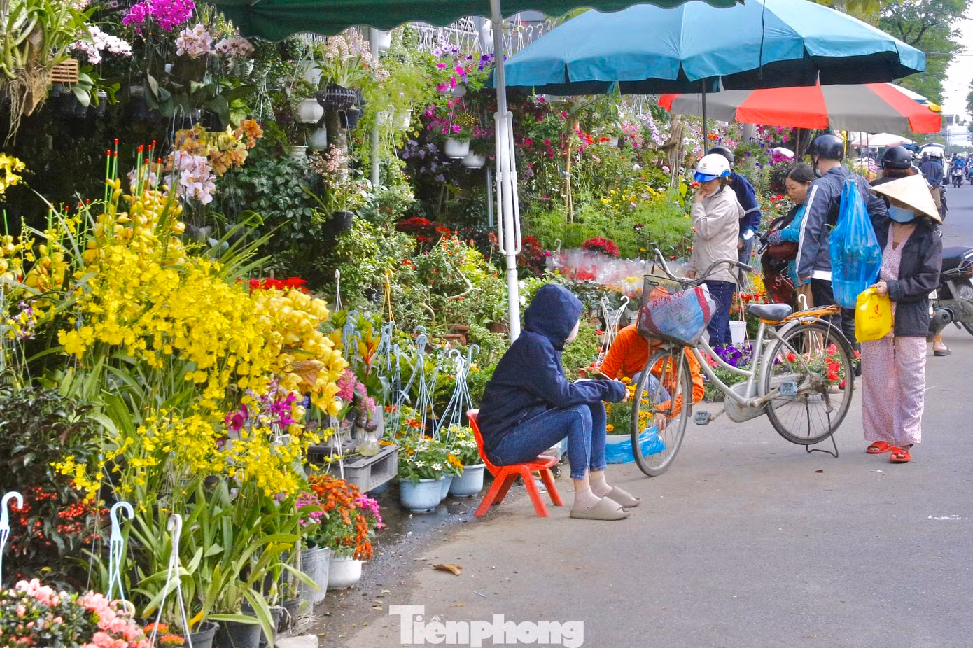 Chào đón Tết Giáp Thìn 2024, nhiều tuyến đường trên địa bàn thành phố Đà Nẵng rộn ràng sắc xuân với những chậu cây cảnh, hoa cúc, hoa lan… được các tiểu thương bày bán khắp nơi.