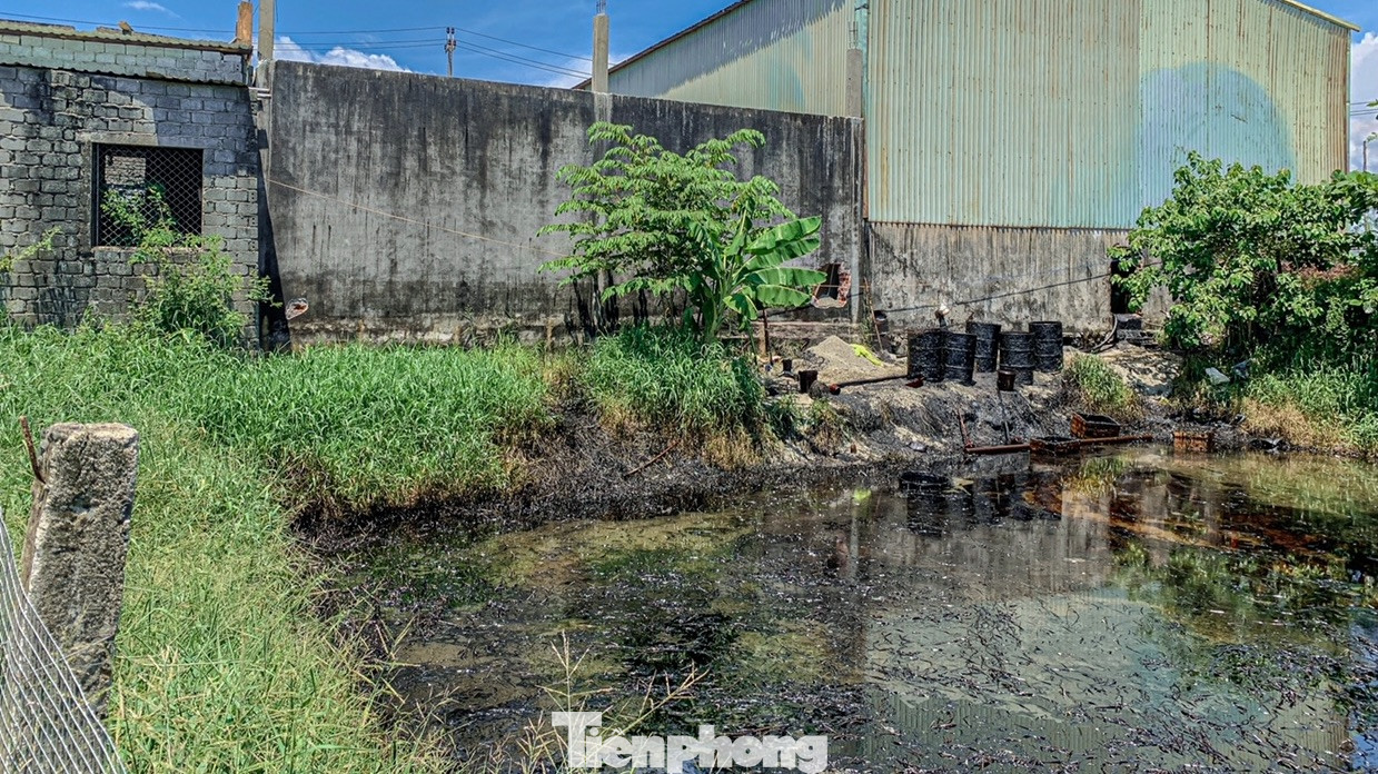 Dầu từ cơ sở đổ thẳng ra môi trường gây ô nhiễm nghiêm trọng.