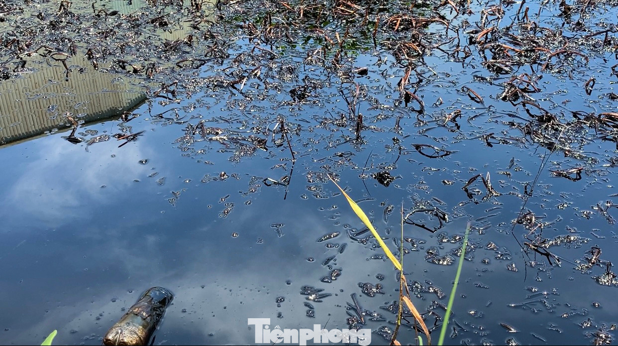 Dầu từ cơ sở đổ thẳng ra môi trường gây ô nhiễm nghiêm trọng.